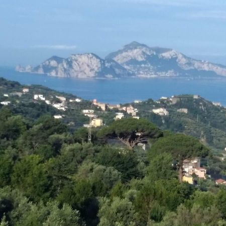 La Vista Sul Golfo Apartman Massa Lubrense Kültér fotó
