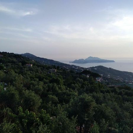 La Vista Sul Golfo Apartman Massa Lubrense Kültér fotó
