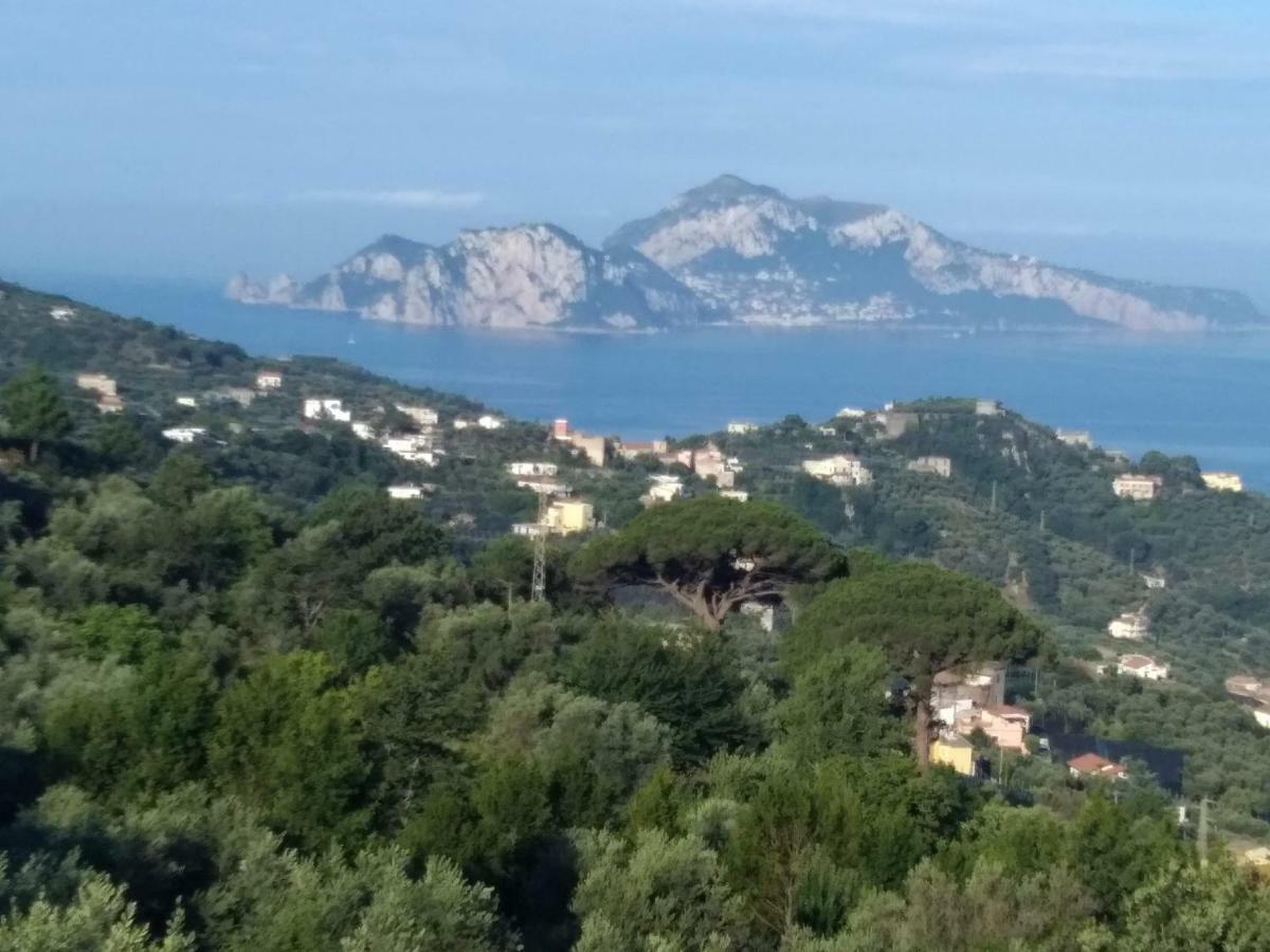 La Vista Sul Golfo Apartman Massa Lubrense Kültér fotó