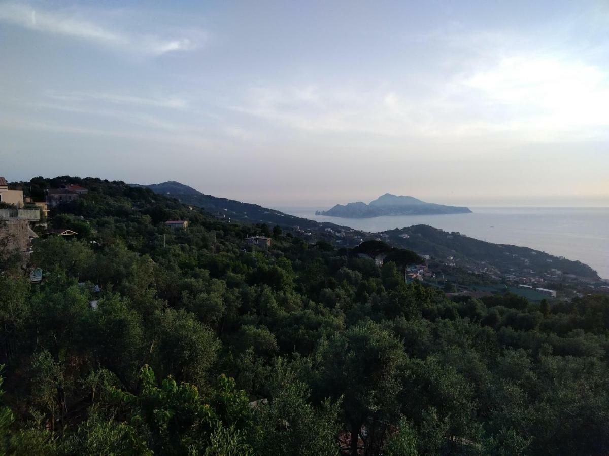 La Vista Sul Golfo Apartman Massa Lubrense Kültér fotó