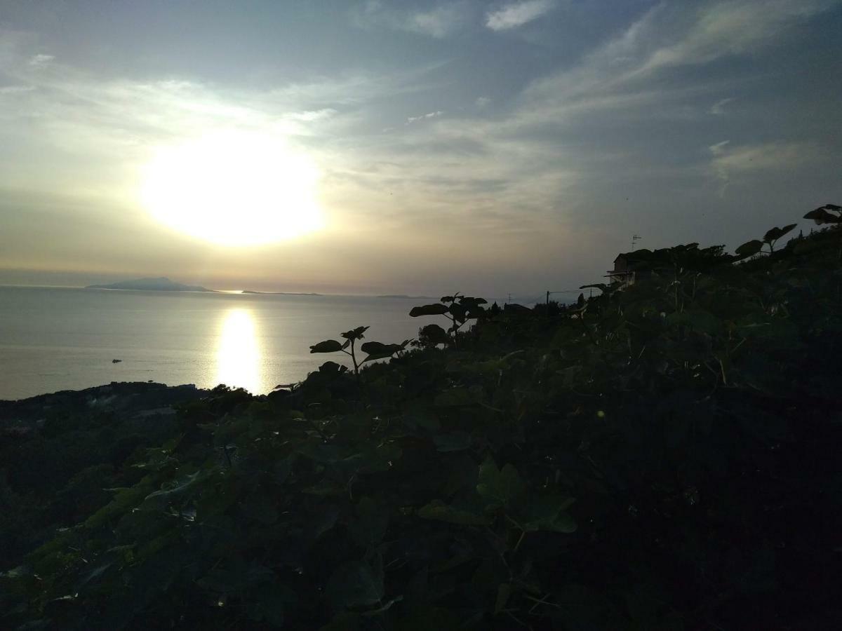 La Vista Sul Golfo Apartman Massa Lubrense Kültér fotó